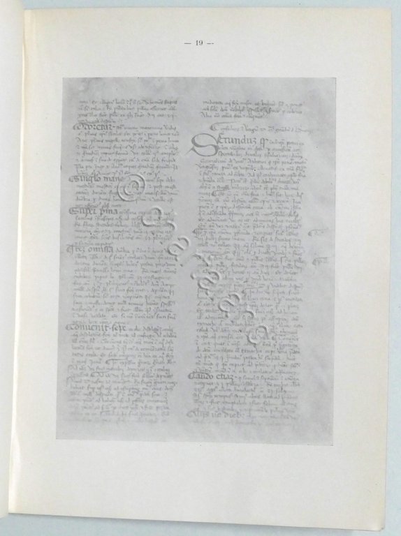 Carbonelli - Dieci consigli medici maestro Gerardo De Berneriis secolo … | Immagine Gallery 2