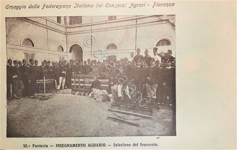 Cartolina - 52^ Fanteria - Insegnamento Agrario - Selezione del …