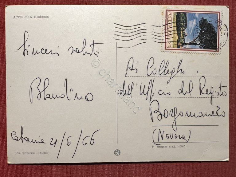 Cartolina - Acitrezza ( Catania ) - Panorama - 1966