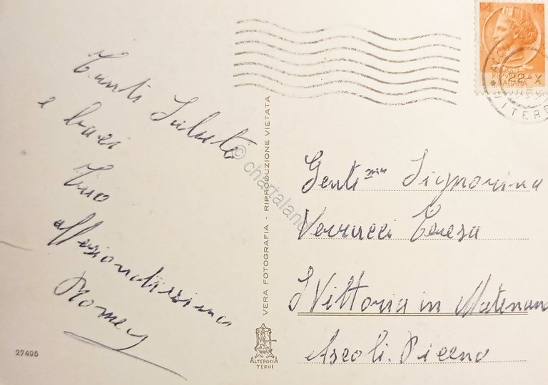 Cartolina - Acquapendente - Circonvallazione - Zona Villini - 1955