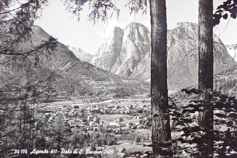 Cartolina - Agordo - Pale di S. Lucano - 1960