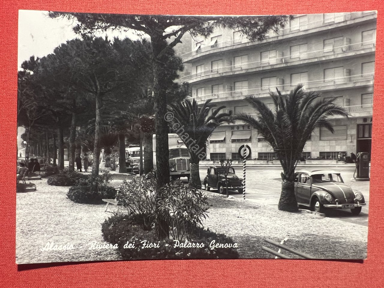 Cartolina - Alassio ( Savona ) - Riviera dei Fiori …