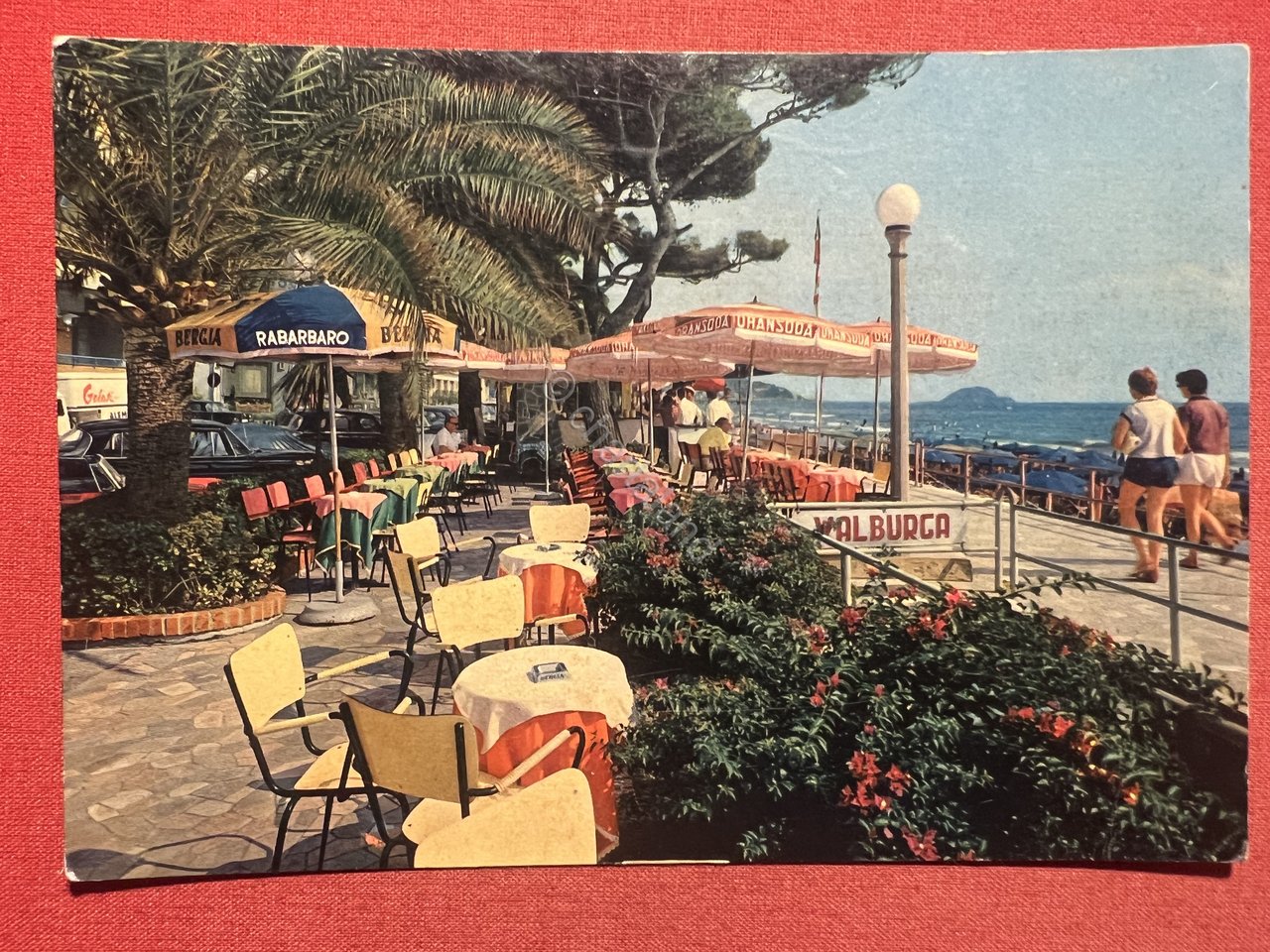 Cartolina - Alassio ( Savona ) - Riviera dei Fiori …