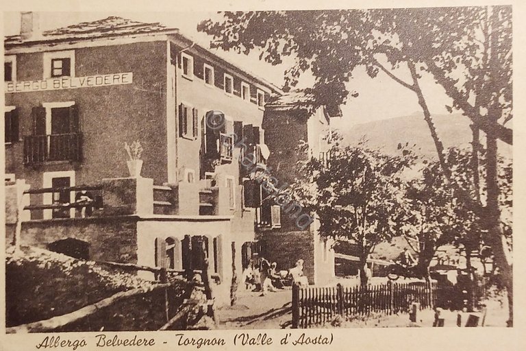 Cartolina - Albergo Belvedere - Torgnon ( Valle d'Aosta ) …
