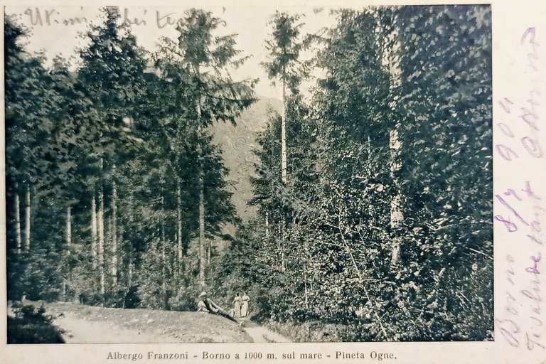 Cartolina - Albergo Franzoni - Borno sul mare - Pineta …