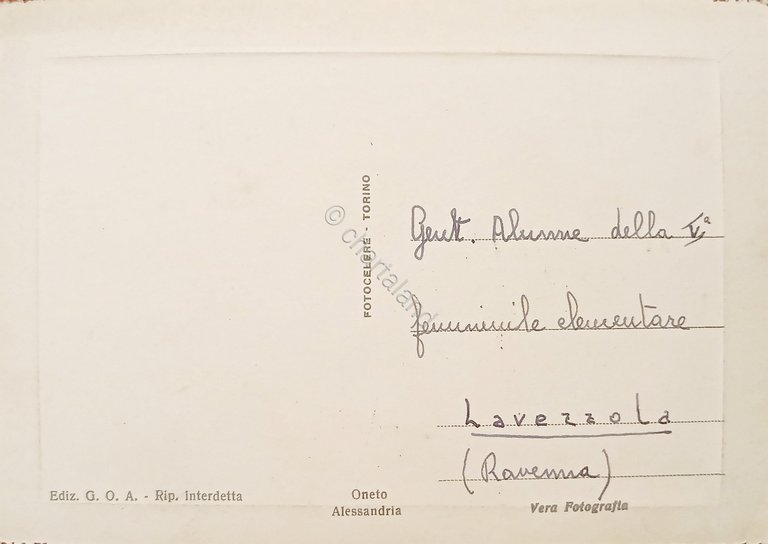 Cartolina - Alessandria - Fontana e Giardini - 1950 ca.