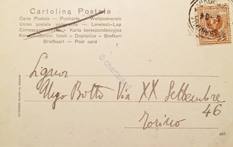 Cartolina - Alessandria - Ponte sul Tanaro - 1904