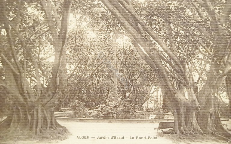 Cartolina - Alger - Jardin d'Essai - Le Rond-Point - …
