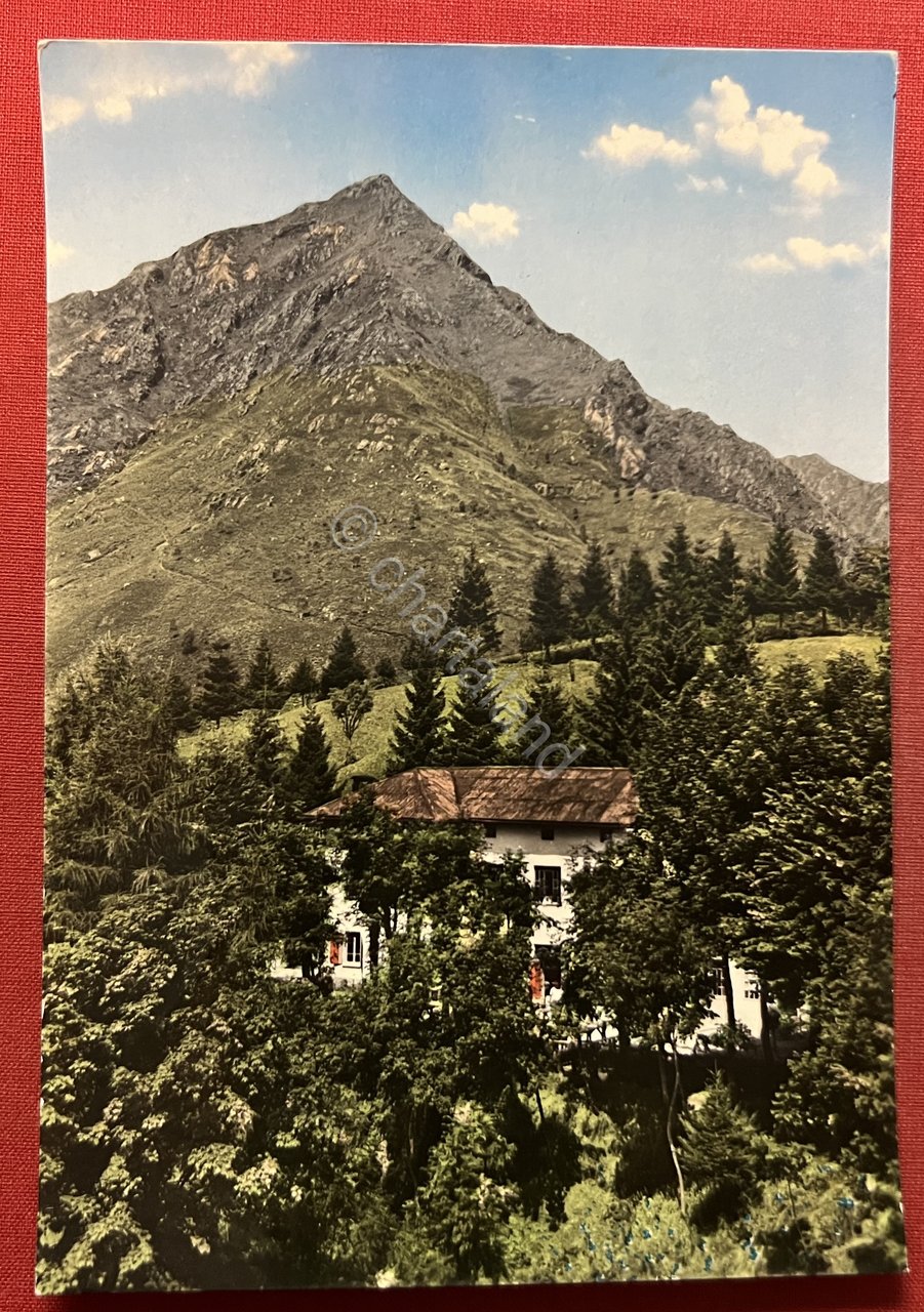 Cartolina - Alpe di Noveis ( Biella ) - Panorama …