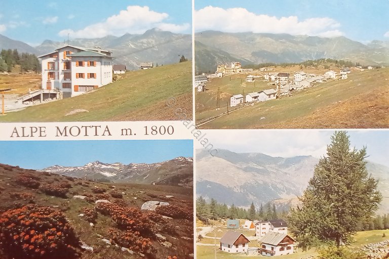 Cartolina - Alpe Motta ( Valle Spluga ) - Vedute …