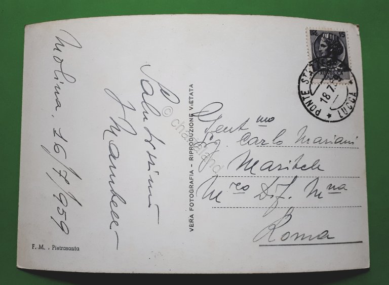 Cartolina - Alpi Apuane - Stazzema - Panorama - 1959