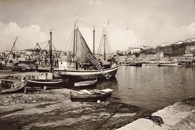 Cartolina - Ancona - Panorama - 1958