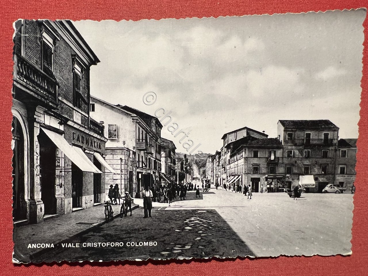 Cartolina - Ancona - Viale Cristoforo Colombo - 1955