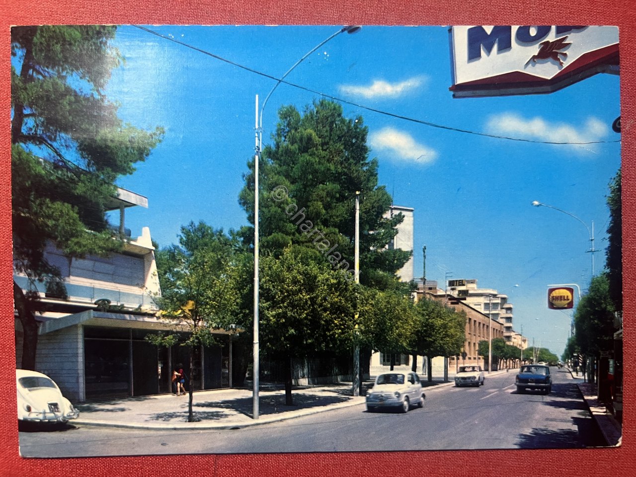 Cartolina - Andria - Albergo dei Pini - 1972