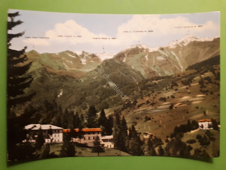 Cartolina - Antica Fonte Pejo (Trentino) - 1961