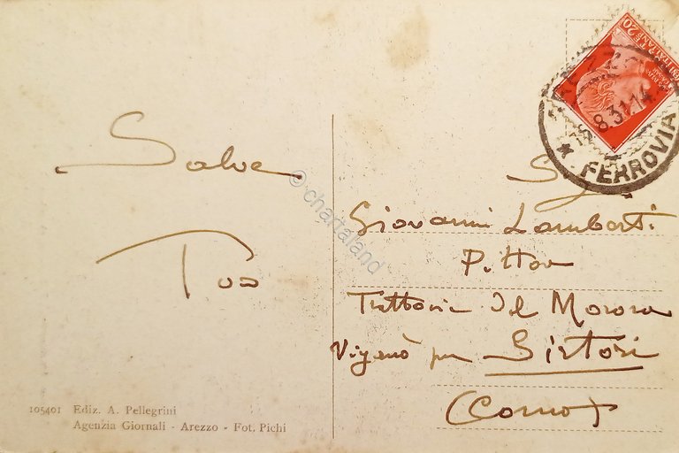 Cartolina - Arezzo - Monumento a F. Petrarca - 1931