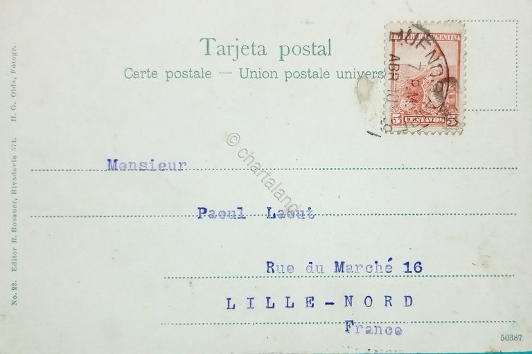 Cartolina - Argentina - La Plata - Municipalidad - 1906