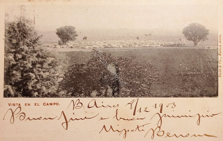 Cartolina - Argentina - Vista en el Campo - 1903