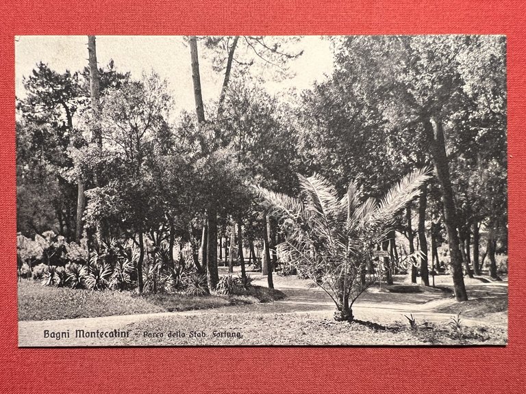 Cartolina - Bagni Montecatini - Parco dello Stabilimento Fortuna - …