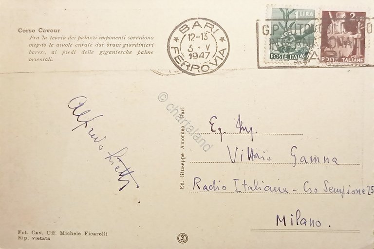 Cartolina - Bari - Teorie di palme al Corso Cavour …