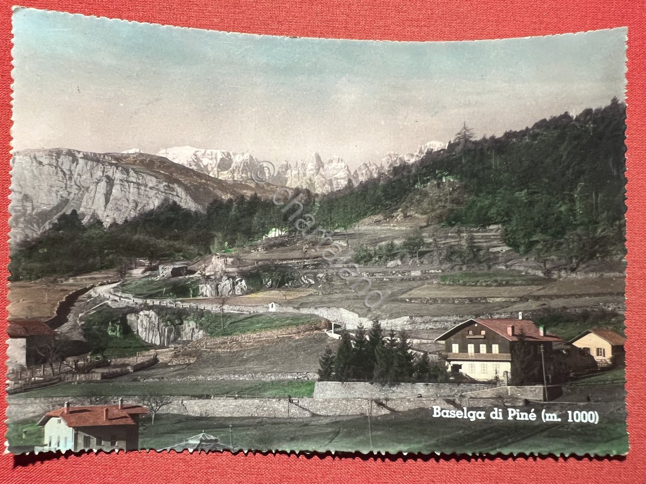 Cartolina - Baselga di Piné ( Trento ) - Panorama …