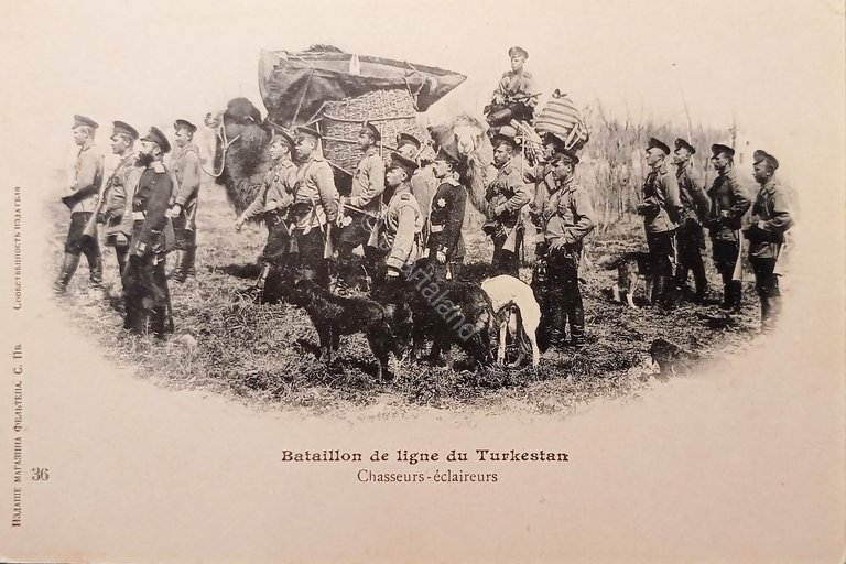 Cartolina - Bataillon de ligne du Turkestan - Chasseurs - …