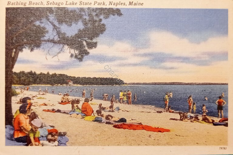 Cartolina - Bathing Beach - Sebago Lake State Park - …