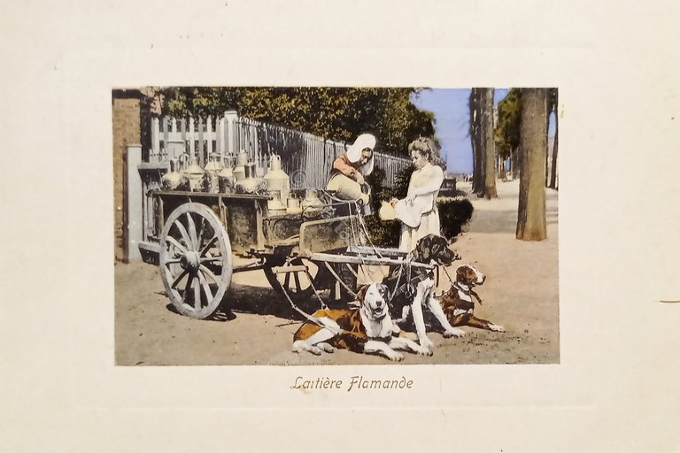 Cartolina - Belgio - Bruxelles - Laitjere Flamande - 1910