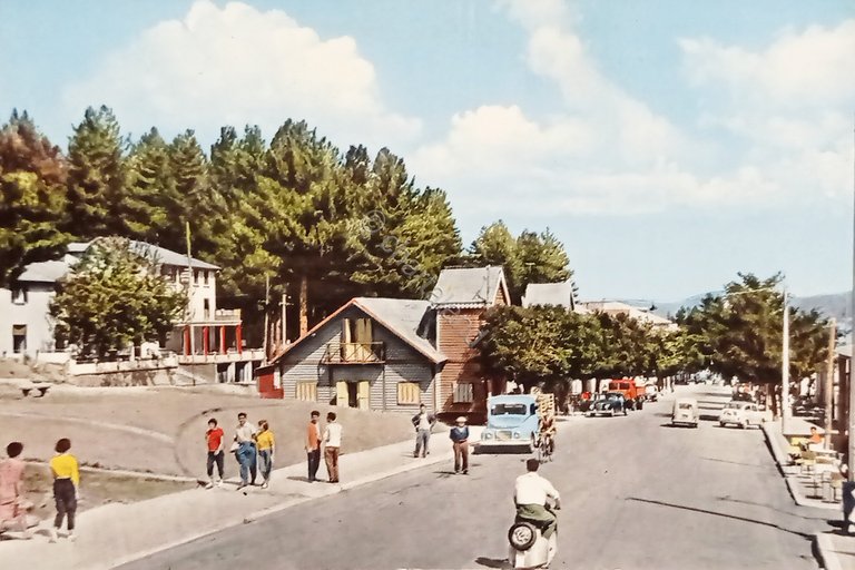 Cartolina - Bellezze di Calabria - Sila - Camigliatello Silano …