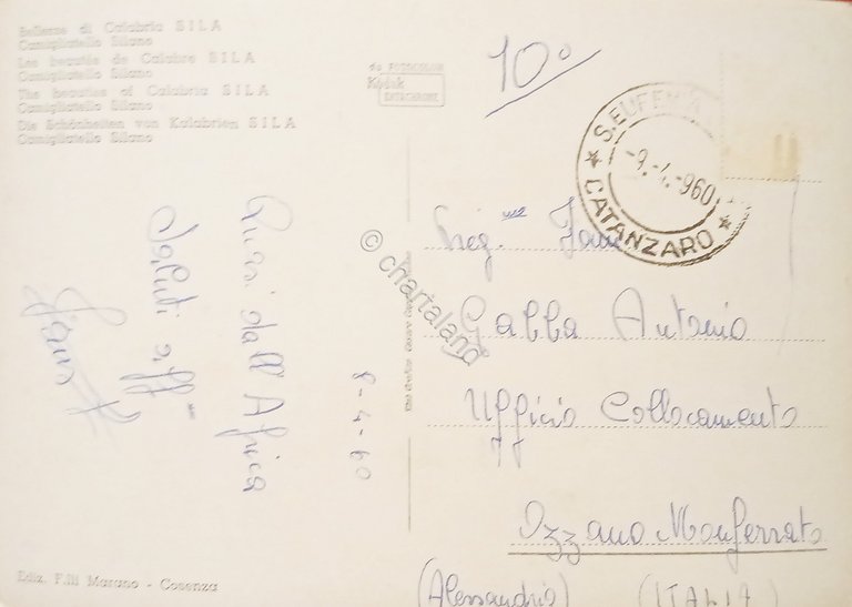 Cartolina - Bellezze di Calabria - Sila - Camigliatello Silano …