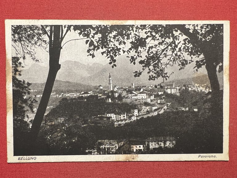 Cartolina - Belluno - Panorama - 1925