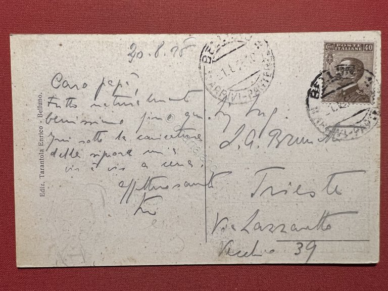 Cartolina - Belluno - Panorama - 1925