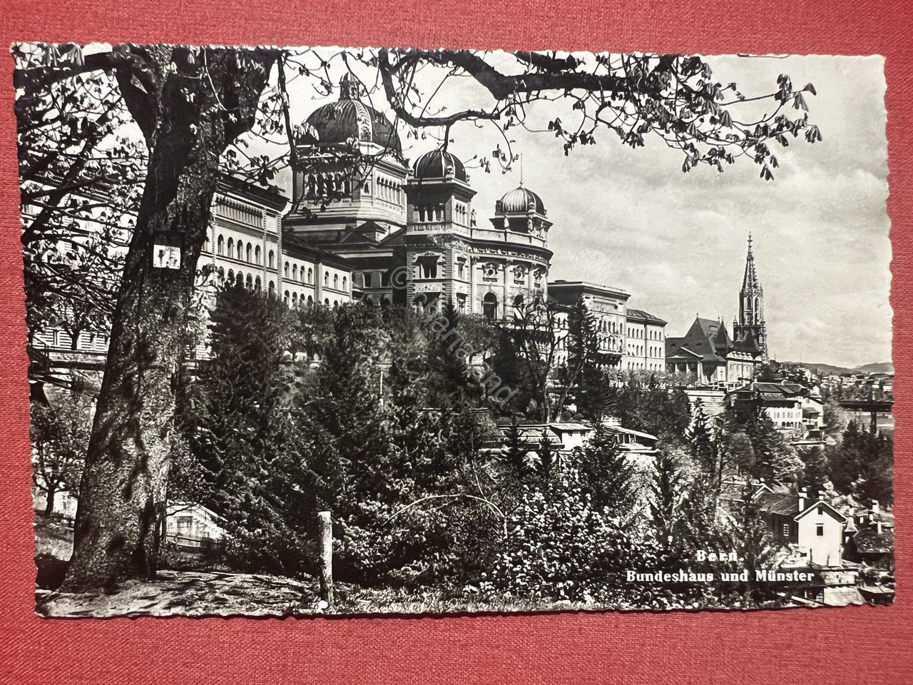 Cartolina - Bern - Bundeshaus und Munster - 1953 | Immagine principale