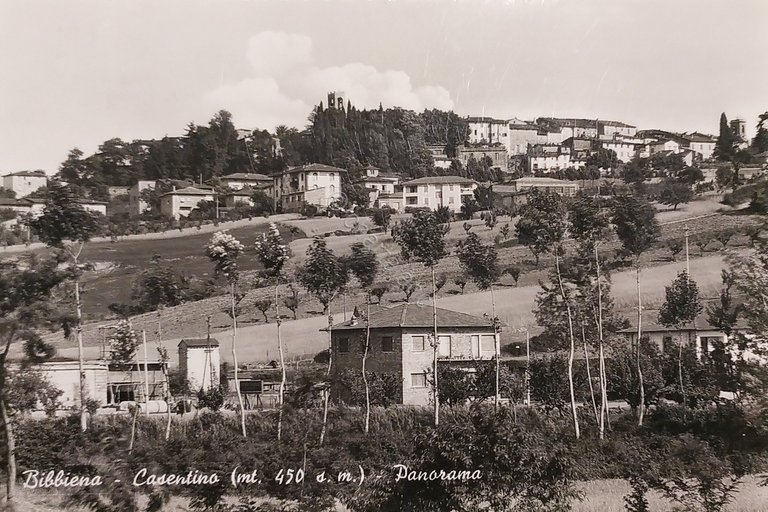 Cartolina - Bibbiena - Casentino - Panorama - 1957