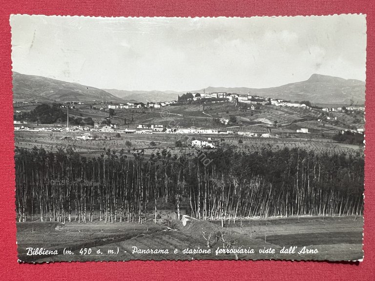 Cartolina - Bibbiena - Panorama e Stazione Ferroviaria viste dall'Arno …