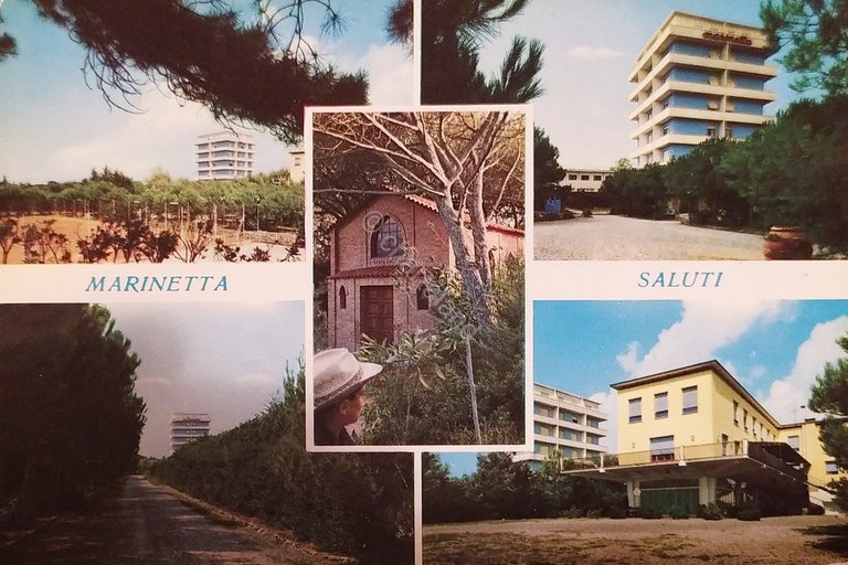 Cartolina - Bibbona Mare - Marinetta Complesso - 1960 ca.