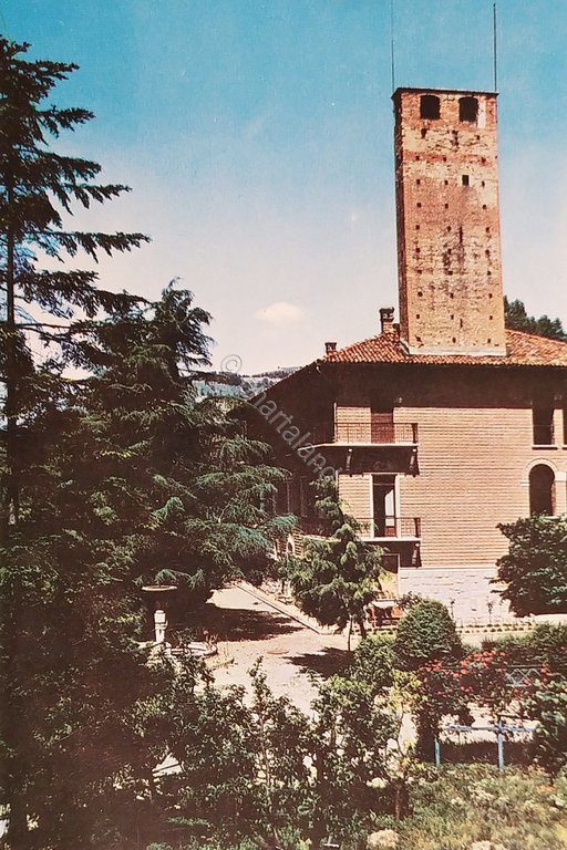 Cartolina - Bistagno - Il Castello - 1971