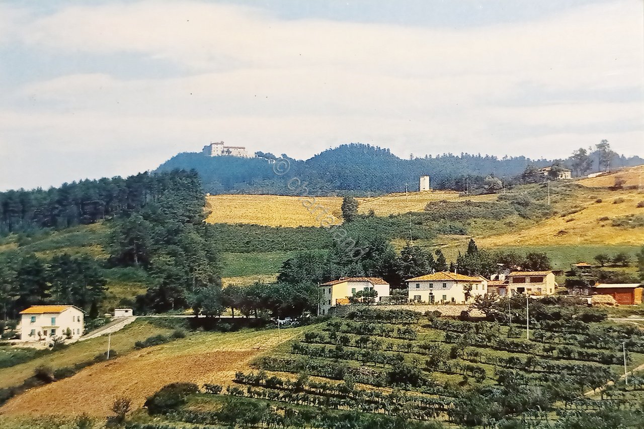 Cartolina - Bivigliano - Alto - Botti Rosso veduta Monte …