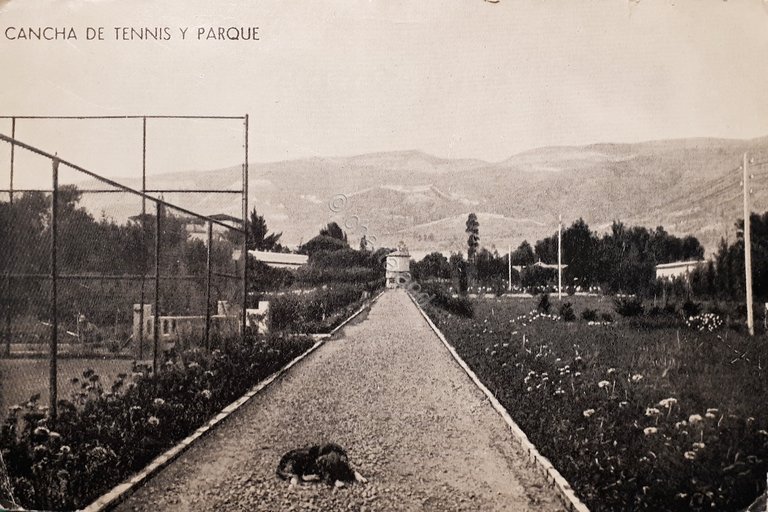Cartolina - Bolivia - Cancha de Tennis y Parque - …