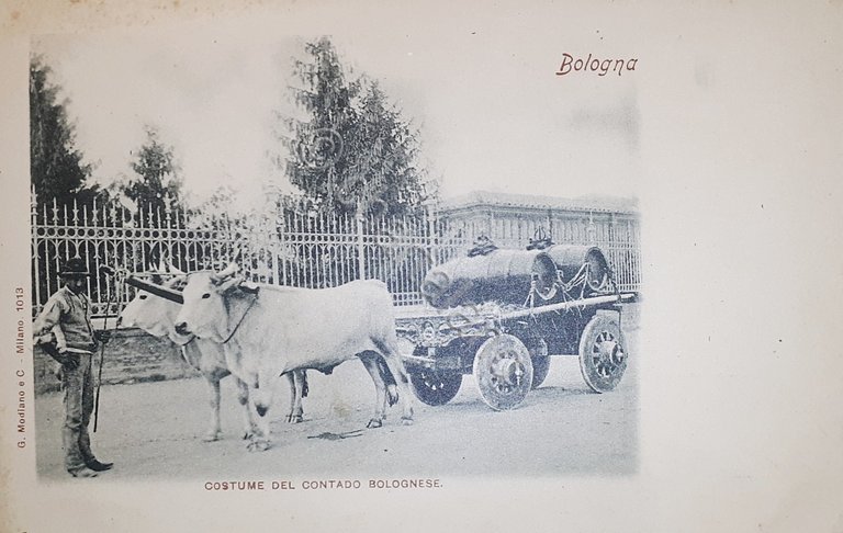 Cartolina - Bologna - Costume del Contado Bolognese - 1900 …
