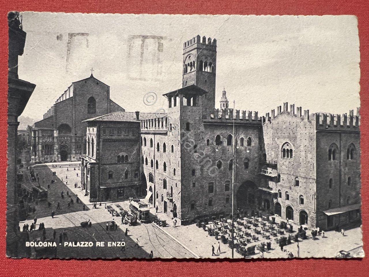 Cartolina - Bologna - Palazzo Re Enzo - 1950