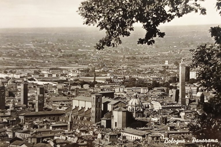 Cartolina - Bologna - Panorama - 1953