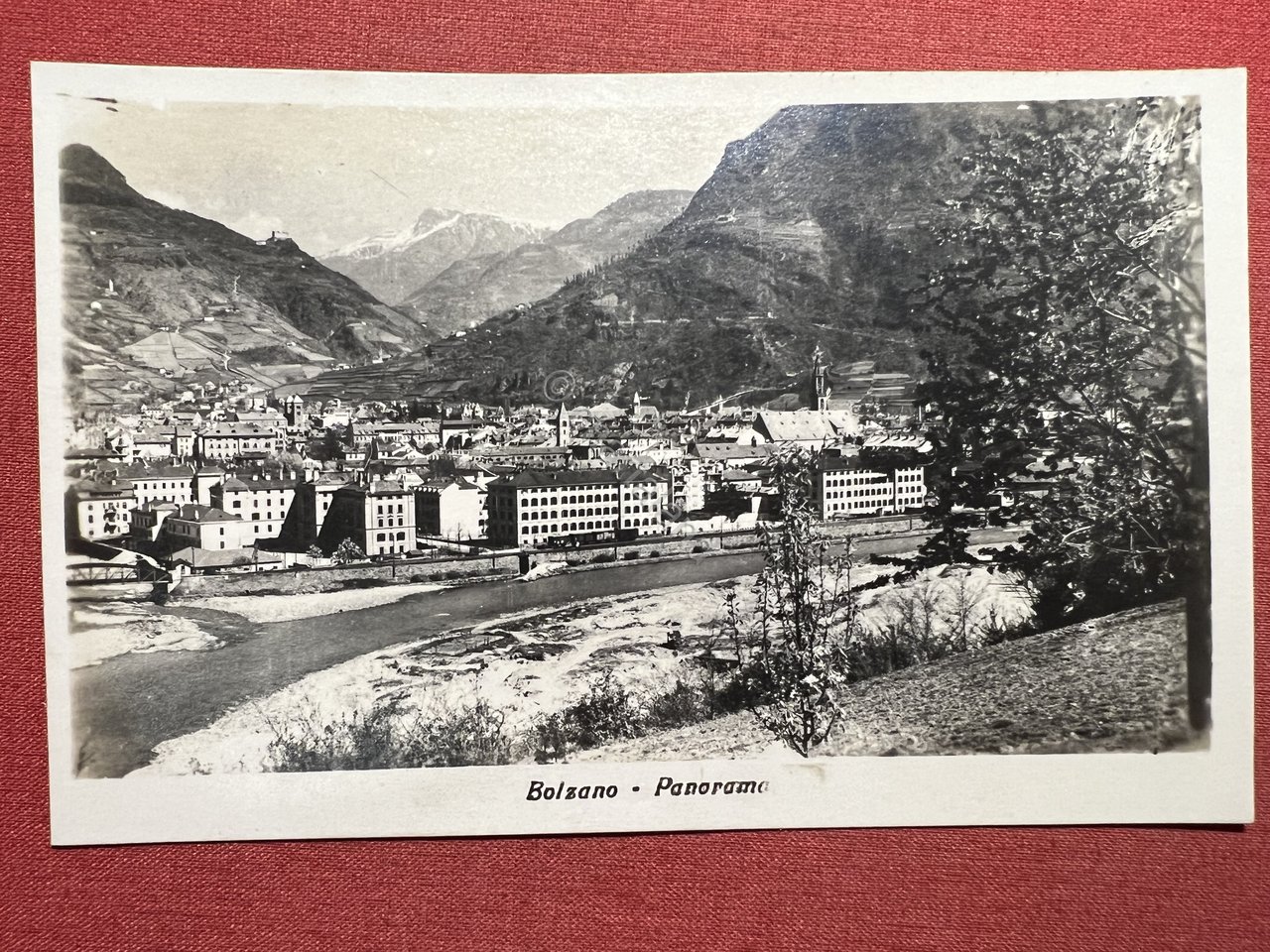 Cartolina - Bolzano - Panorama - 1930 ca.