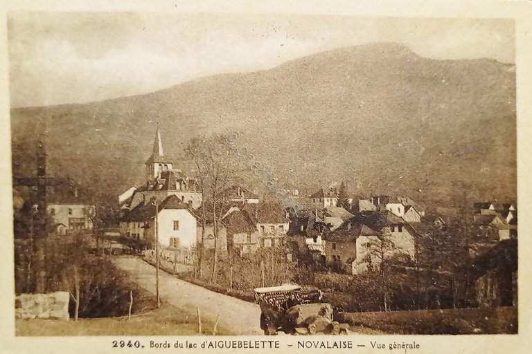 Cartolina - Bords du Lac d'Aiguebelette - Novalaise - Vue …