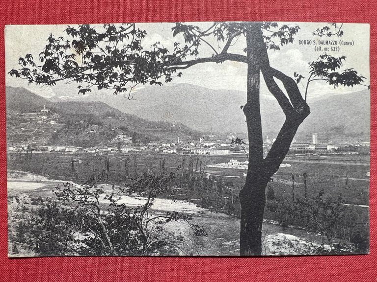Cartolina - Borgo S. Dalmazzo ( Cuneo ) - 1914