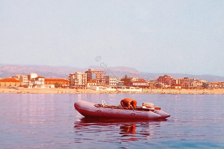 Cartolina - Bovalino ( RC ) - Veduta dal mare …
