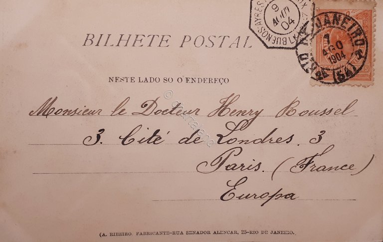 Cartolina - Brasile - Rio De Janeiro - Jardim de …