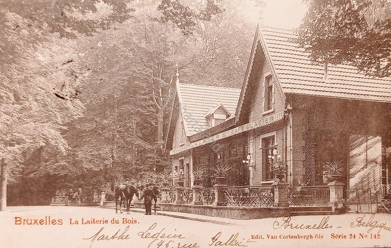 Cartolina - Bruxelles - La Laiterie du Bois - 1901