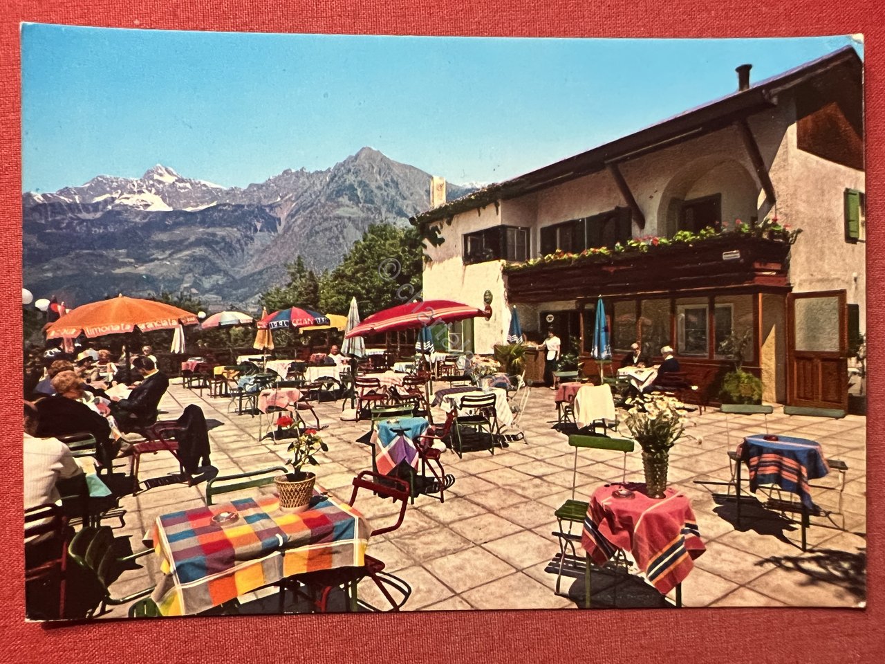 Cartolina - Caffé-Restaurant Panorama - Seggiovia Monte Benedetto - Merano … | Immagine principale