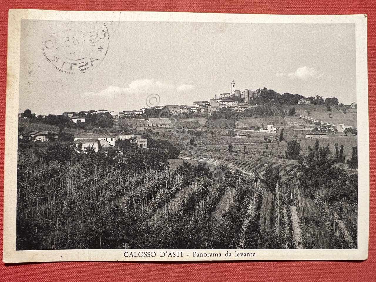 Cartolina - Calosso D'Asti - Panorama da Levante - 1955 | Immagine principale